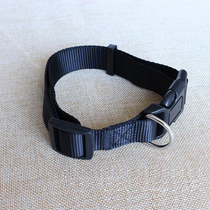 Nylon Dog Collar Adjustable Pet Collar for Small Medium Large Dogs Pitbull Pug Solid Color Dog Leash Pet Supplies