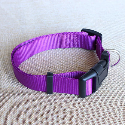 Nylon Dog Collar Adjustable Pet Collar for Small Medium Large Dogs Pitbull Pug Solid Color Dog Leash Pet Supplies