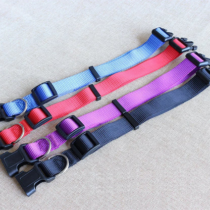 Nylon Dog Collar Adjustable Pet Collar for Small Medium Large Dogs Pitbull Pug Solid Color Dog Leash Pet Supplies