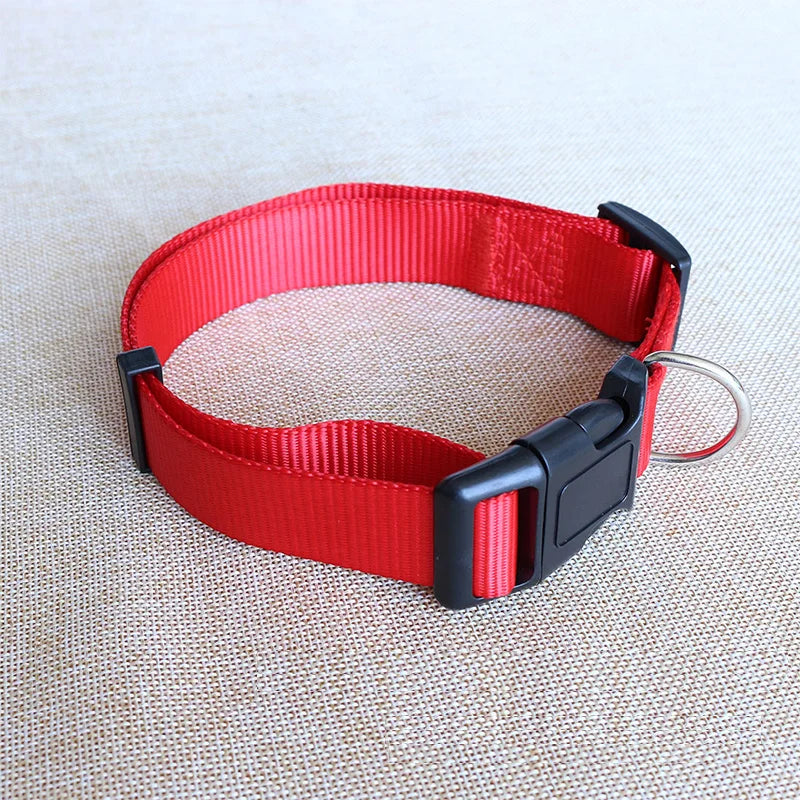 Nylon Dog Collar Adjustable Pet Collar for Small Medium Large Dogs Pitbull Pug Solid Color Dog Leash Pet Supplies