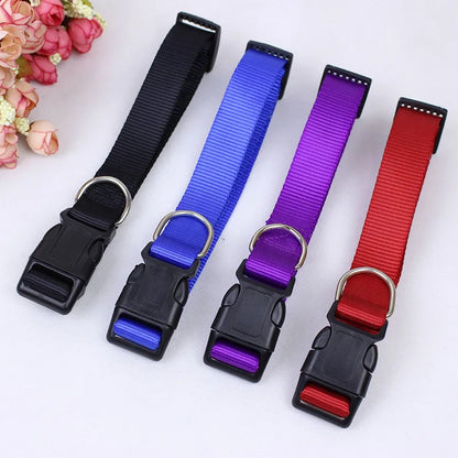 Nylon Dog Collar Adjustable Pet Collar for Small Medium Large Dogs Pitbull Pug Solid Color Dog Leash Pet Supplies