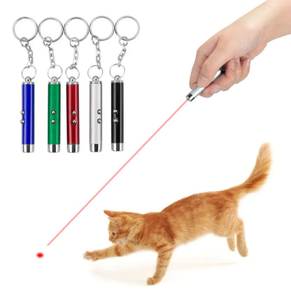 Cat Playing Pointer Pen Mini Keychain Dogs Cat Chase Torch Toy Red White LED Light Pet Animal Toys Flashlight Plaything