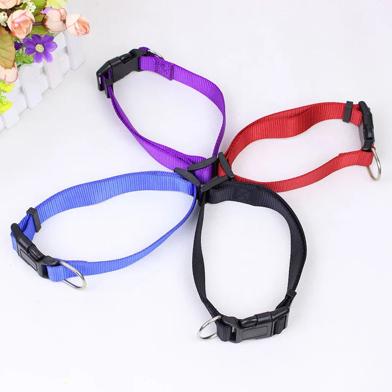 Nylon Dog Collar Adjustable Pet Collar for Small Medium Large Dogs Pitbull Pug Solid Color Dog Leash Pet Supplies