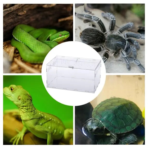 transparent acrylic box Teicket Turtle Spider snail Glass shelter terarium terraria geckorrarium for reptile and amphibian cr