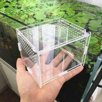 transparent acrylic box Teicket Turtle Spider snail Glass shelter terarium terraria geckorrarium for reptile and amphibian cr