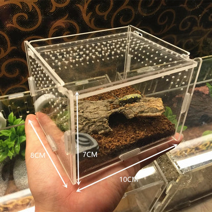 transparent acrylic box Teicket Turtle Spider snail Glass shelter terarium terraria geckorrarium for reptile and amphibian cr