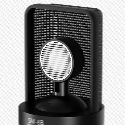 TAKSTAR Studio Microphone/Recording Microphone, Condenser Microphone with Windproof Sponge for Vocals Recording, Dubbing, Videos