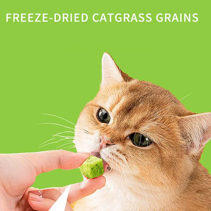 Cat Grass Grain Freeze Dried Cat Snack Cat Nips Cat Chewing Teething Treats Kitten Teeth Cleaning Snacks Cat Eat Mild Row Teeth