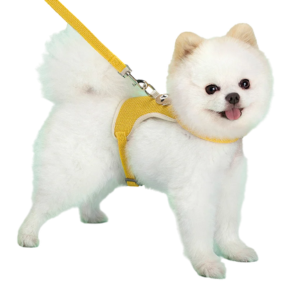 Cute Pet Harness Leash Set for Small Mid Dogs Cat Walking Lead Chihuahua Bunny Vest Harness Poodle Collar Leash Dog Accessories