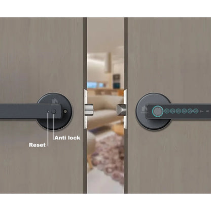 WINFREE Smart Lock Tuya Bluetooth Keyless Access Office Home Fingerprint Lock Voice Control Alexa Google Assistant