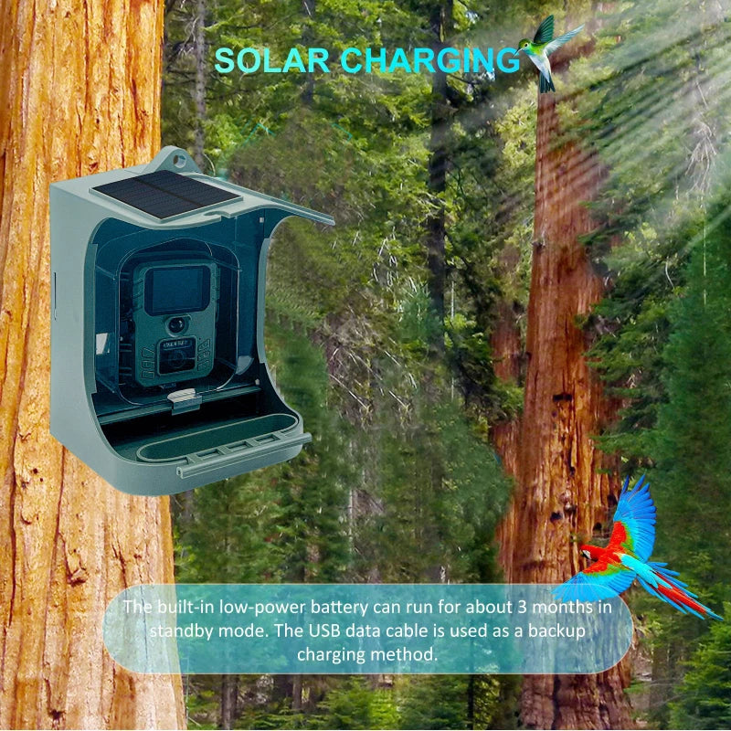 Solar Powered 1080P Wireless WiFi Smart Bird Feeder Camera Waterproof Bird Watching Camera Hunting Camera Trail camera