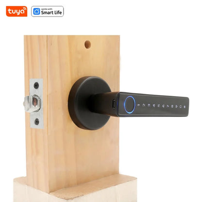 Tuya keyless entry door lock,Bluetooth short-range APP Control smart door handle - single row 5-in-1 fingerprint Door Lock