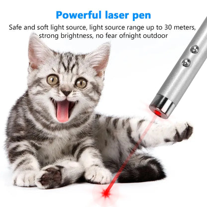 Cat Playing Pointer Pen Mini Keychain Dogs Cat Chase Torch Toy Red White LED Light Pet Animal Toys Flashlight Plaything