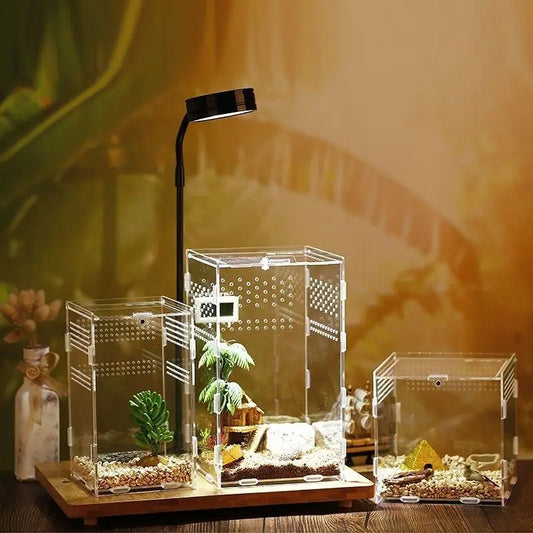 Home & Garden Pet Product Insect supplies boxes reptile product Hermit Crab Gecko Feeding Tank Assembled Acrylic Transparent Box