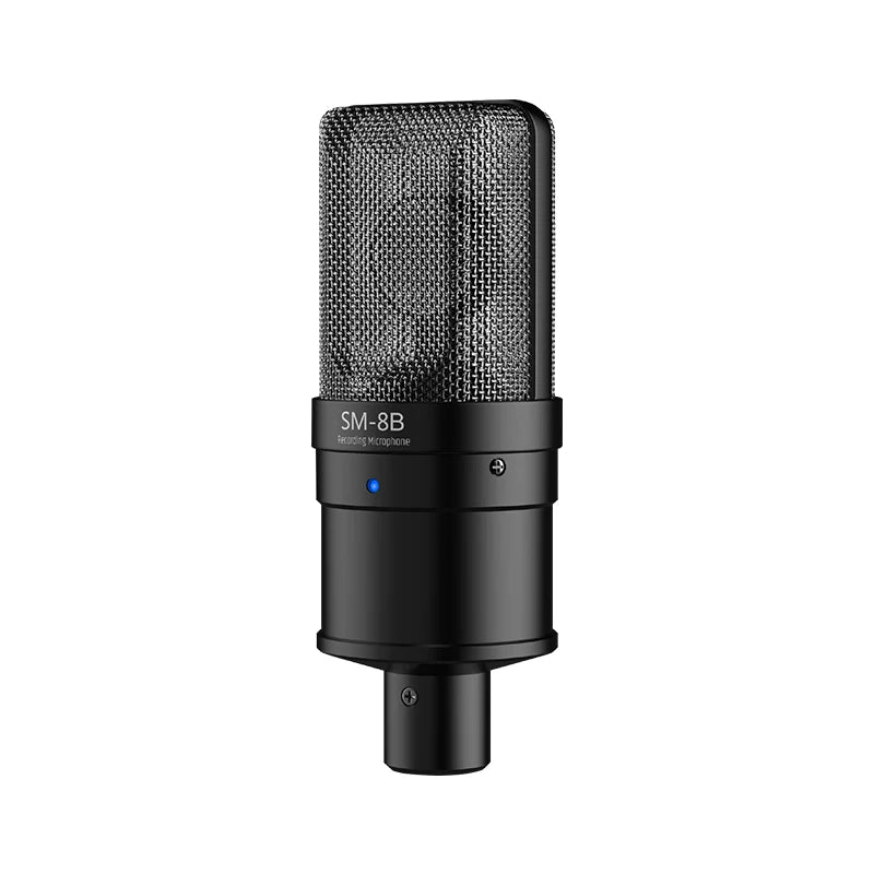 TAKSTAR Studio Microphone/Recording Microphone, Condenser Microphone with Windproof Sponge for Vocals Recording, Dubbing, Videos