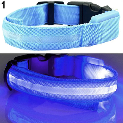 LED Dog Anti-lost Collar Pet Collar Glowing Luminous LED Night Light For Small Medium Large Dogs Collars Leads Safety Necklace