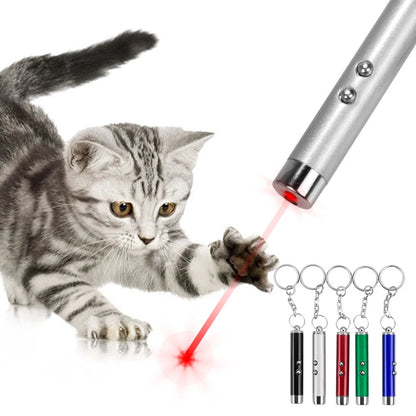 Cat Playing Pointer Pen Mini Keychain Dogs Cat Chase Torch Toy Red White LED Light Pet Animal Toys Flashlight Plaything