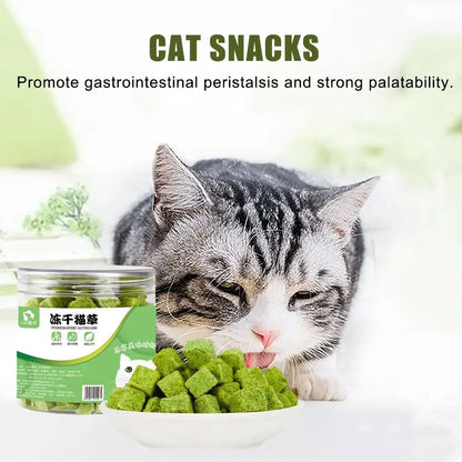 Cat Grass Grain Freeze Dried Cat Snack Cat Nips Cat Chewing Teething Treats Kitten Teeth Cleaning Snacks Cat Eat Mild Row Teeth