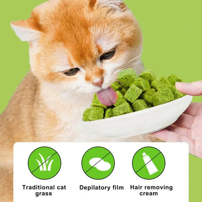 Cat Grass Grain Freeze Dried Cat Snack Cat Nips Cat Chewing Teething Treats Kitten Teeth Cleaning Snacks Cat Eat Mild Row Teeth