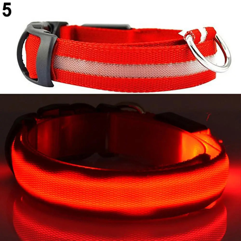 LED Dog Anti-lost Collar Pet Collar Glowing Luminous LED Night Light For Small Medium Large Dogs Collars Leads Safety Necklace