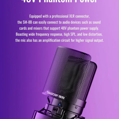 TAKSTAR Studio Microphone/Recording Microphone, Condenser Microphone with Windproof Sponge for Vocals Recording, Dubbing, Videos