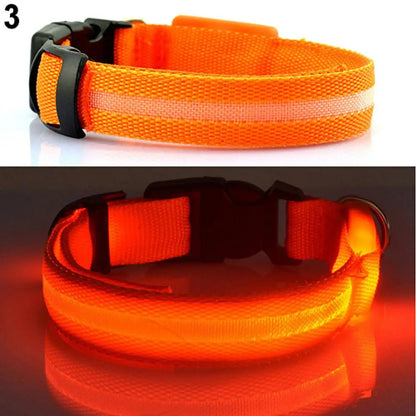 LED Dog Anti-lost Collar Pet Collar Glowing Luminous LED Night Light For Small Medium Large Dogs Collars Leads Safety Necklace