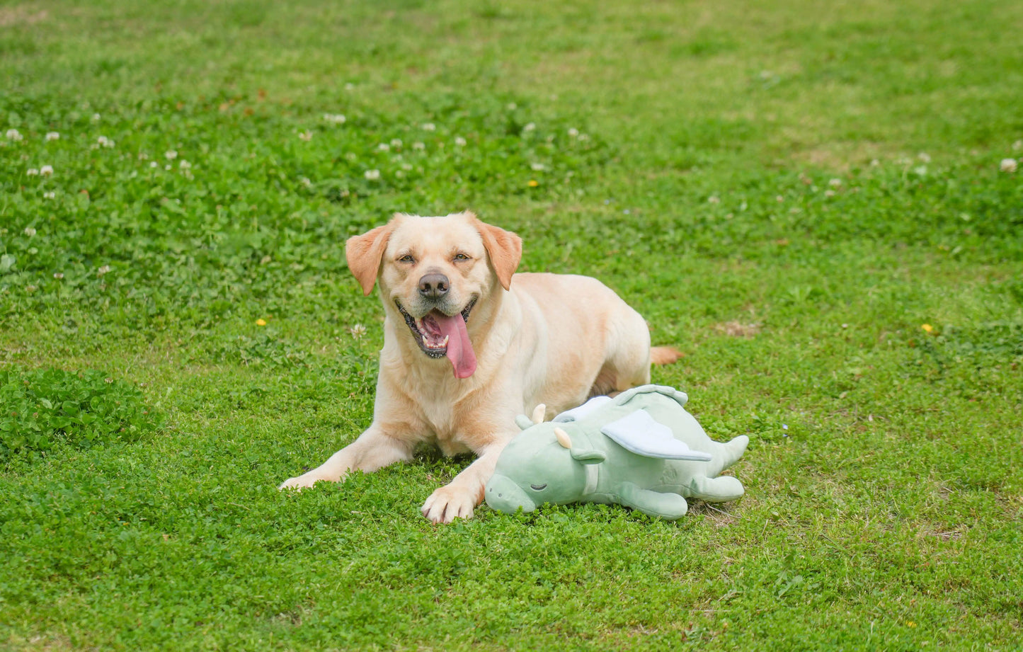 PETFULED Gem Flying Dragon Dog Heartbeat Toy,Puppy Separation stress Toy, Puppy Behavioral Training Aid for Dog Sleep Aid Plush