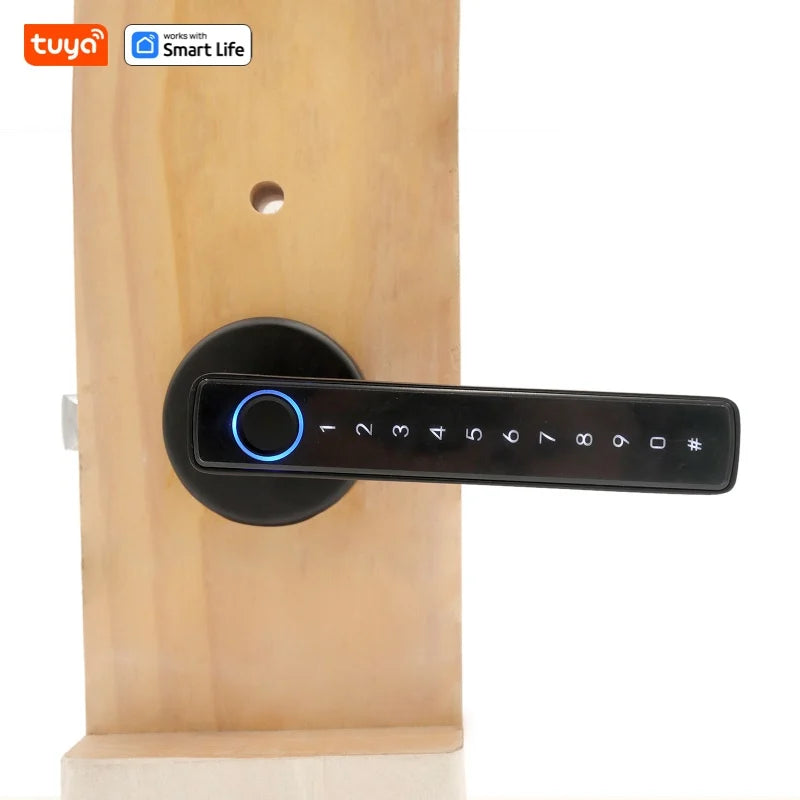 Tuya keyless entry door lock,Bluetooth short-range APP Control smart door handle - single row 5-in-1 fingerprint Door Lock