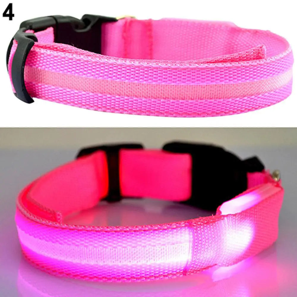 LED Dog Anti-lost Collar Pet Collar Glowing Luminous LED Night Light For Small Medium Large Dogs Collars Leads Safety Necklace