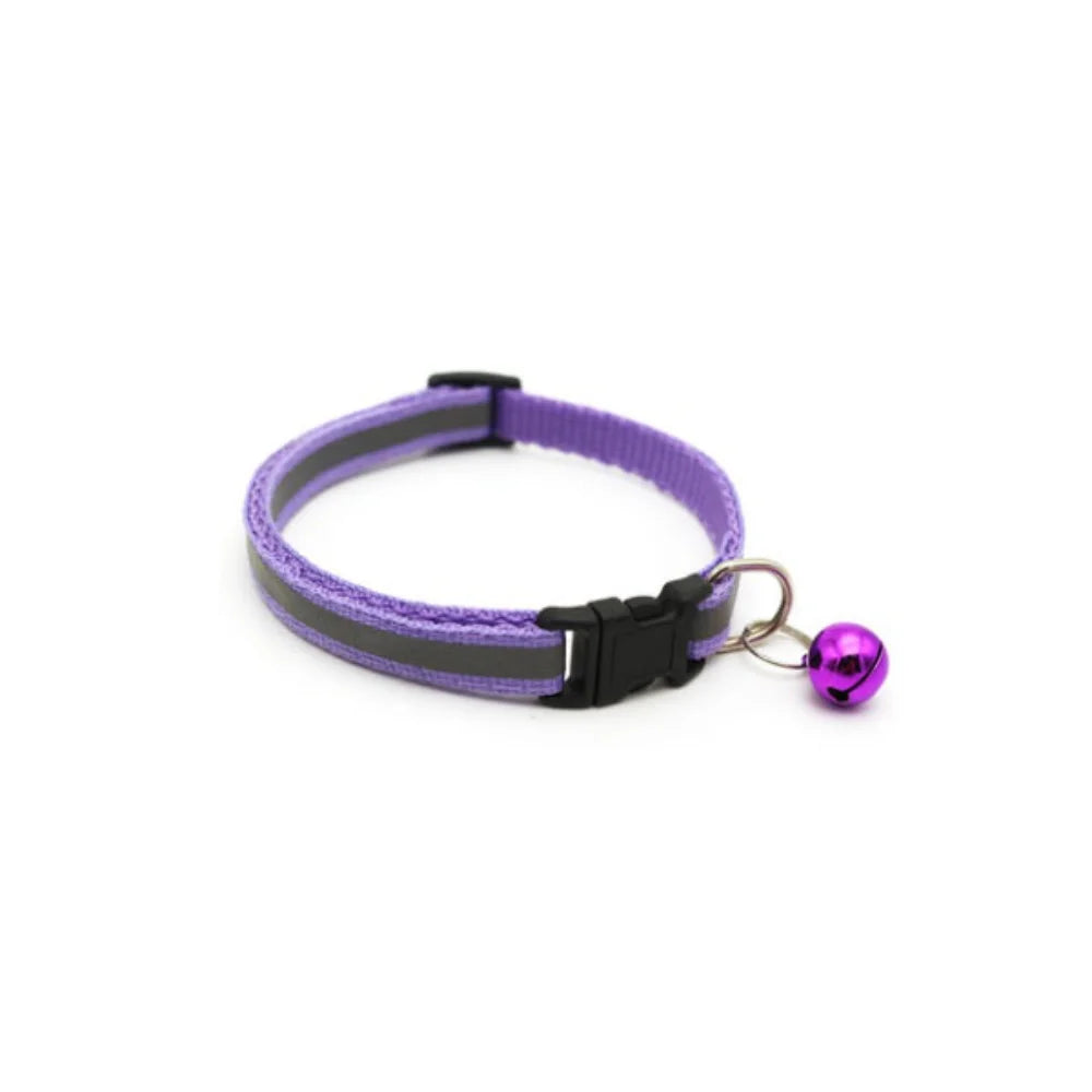 Delysia King Reflective Pet Collar