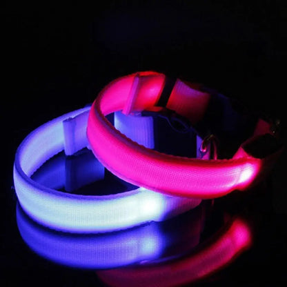 LED Dog Anti-lost Collar Pet Collar Glowing Luminous LED Night Light For Small Medium Large Dogs Collars Leads Safety Necklace