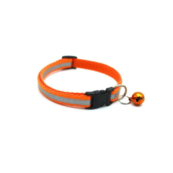 Delysia King Reflective Pet Collar