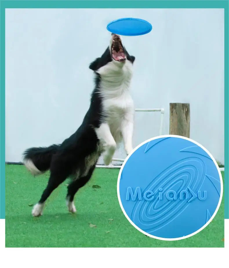 OUZEY Bite Resistant Flying Disc Toys For Dog Multifunction Pet Puppy Training Toys Outdoor Interactive Game Pet Dogs Products